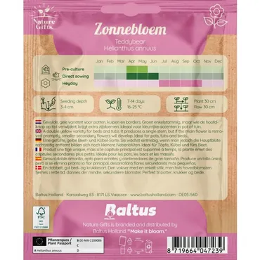 Zonnebloem teddybear 20st - afbeelding 2